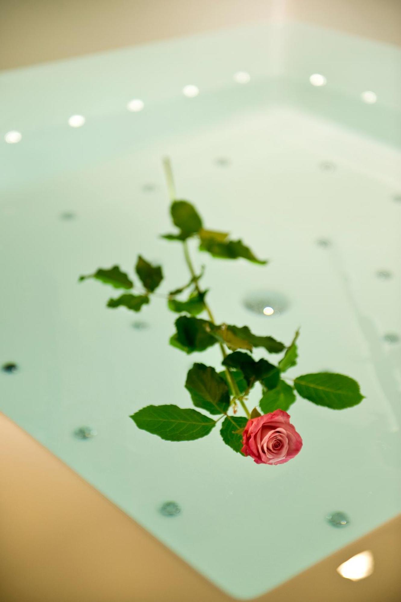 Viola Mhotel غروميلو ديل مونتيه المظهر الخارجي الصورة